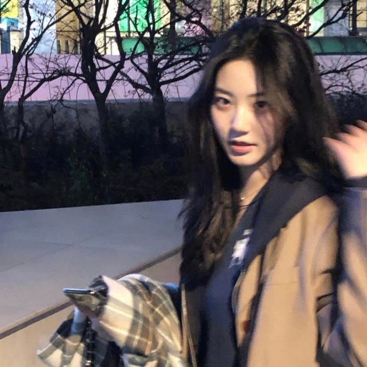 歌舞团的女人们
